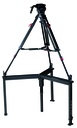 Cartoni Ragno Pod, Spider Pod - 2